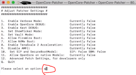 Vai voltar a opção de Adjust Patcher Settings do OpenCore, tecle Q para sair